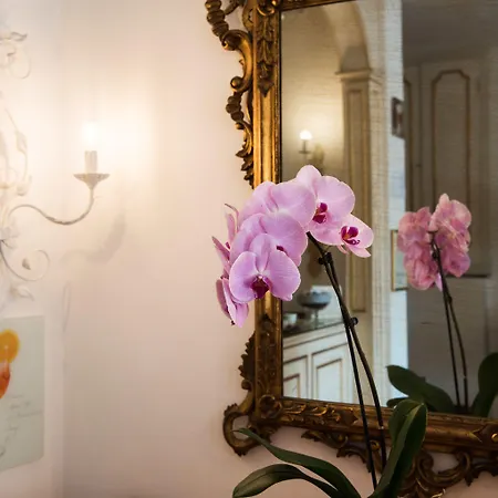 Hotell Delle Palme In 3*