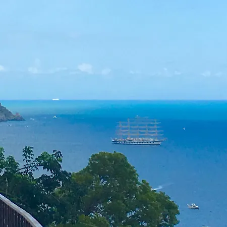 Delle Palme In 포지타노